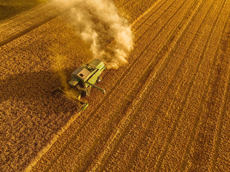 Combine oogst graan in de zomer gezien van bovenaf van Sjoerd van der Wal Fotografie