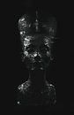 NEFERTITI - QUEEN OF LIGHT van NEFERTITI thumbnail
