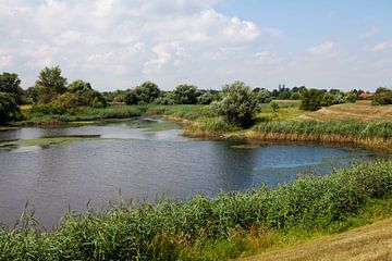 Maagdenburg Cracau