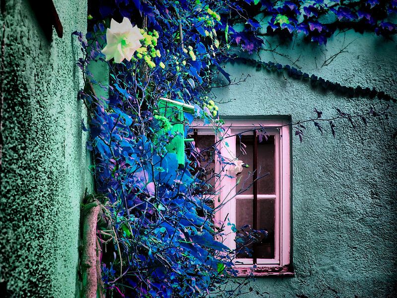 Blaues Fenster  van Ilona Picha-Höberth