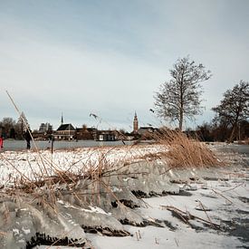 Nieuwkoopse Plassen en hiver avec de la glace sur Arie Bon