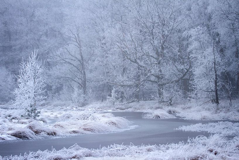 winter landscape with a frozen river by Karijn | Fine art Natuur en Reis Fotografie
