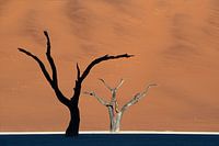 Zon en Schaduw- Namibië