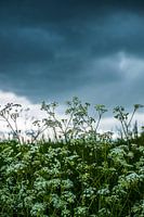 Ominöse Natur