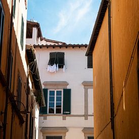 Wäsche hängt in Lucca zum Trocknen auf | eine Reise durch Italien von Roos Maryne - Natuur fotografie
