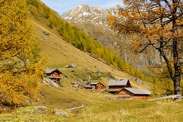 Idyllically situated alpine pasture in the Hohe Tauern mountain range, Austria, in autumn by Christian Peters
