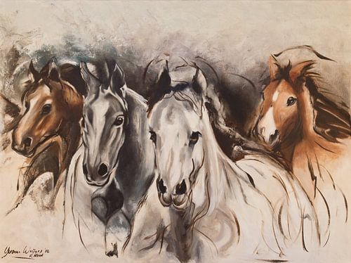 Paarden in galop