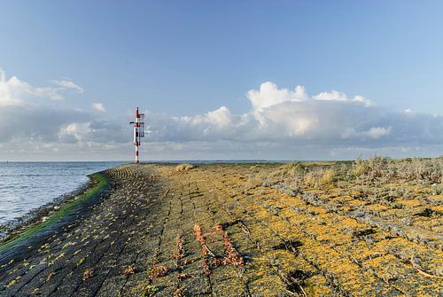 Kleurig najaar op de pier in Lauwersoog