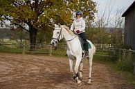 Training mit dem weißen Pferd auf einem Reitplatz im Herbst von Babetts Bildergalerie Miniaturansicht