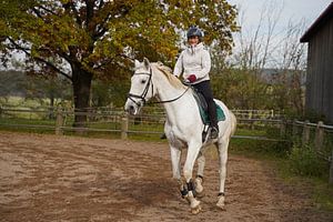 Training mit dem weißen Pferd auf einem Reitplatz im Herbst