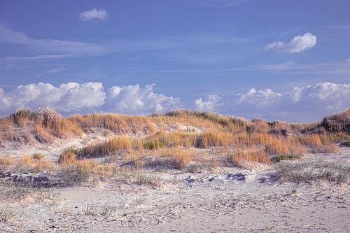 Duinen op Amrum
