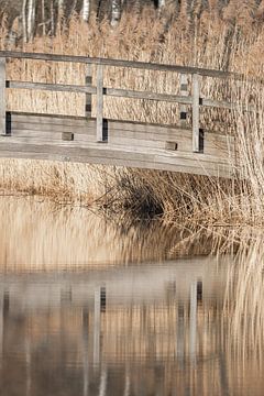 Bridge to Serenity - Reflection of Tranquillity - Pampas grass by Femke Ketelaar