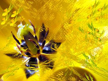 Geel tulpenhart van Christine GUILLET