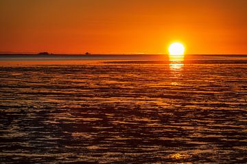 Landscape with sunrise on the North Sea island Amrum, Germany van Rico Ködder