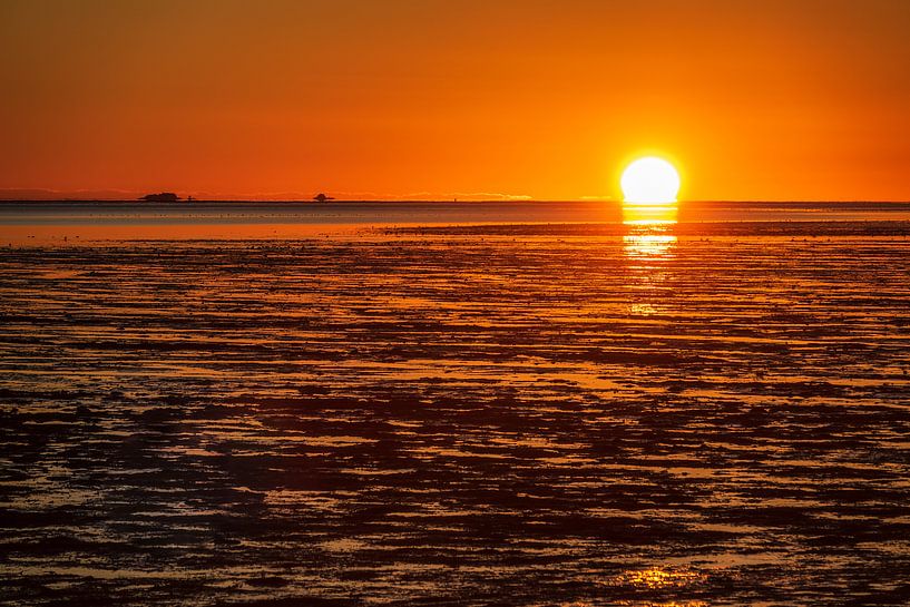 Sonnenaufgang am Wattenmeer auf der Insel Amrum van Rico Ködder