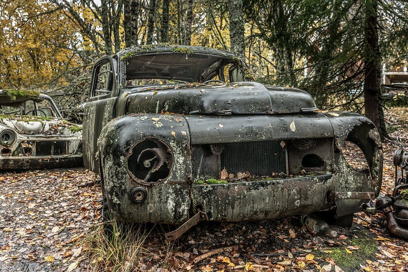 The beauty of decay I by Gerry van Roosmalen
