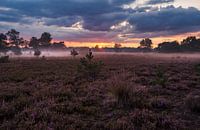 Zonsondergang en mist in de Kampina by Ronne Vinkx thumbnail