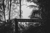 Guetteur de bois dur