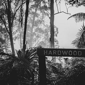 Hardwood lookout van Ennio Brehm