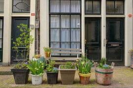 Bloemdwarsstraat Amsterdam von Peter Bartelings