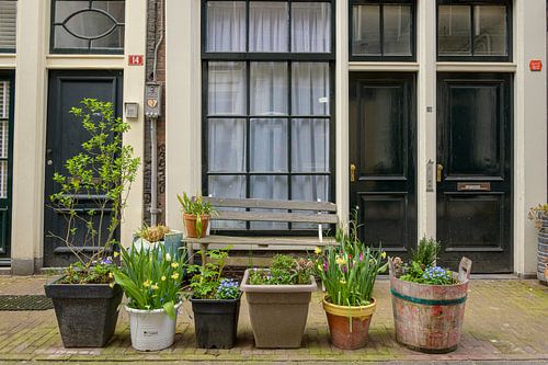 Bloemdwarsstraat Amsterdam