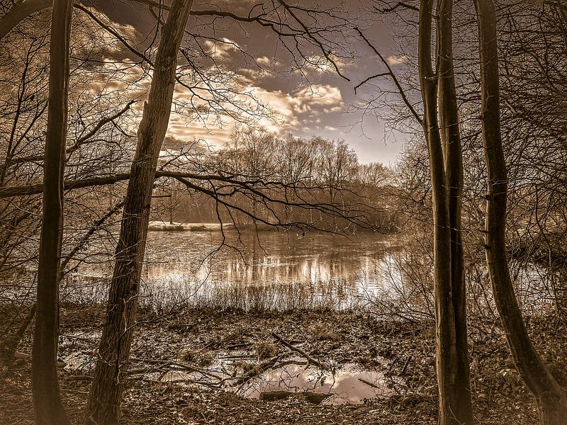 Beautiful nature #2 by Hanneke Bantje