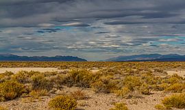 A piece of Nevada's desert landscape. by Jaap van den Berg