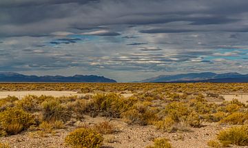 Een stukje woestijnlandschap van Nevada. van Jaap van den Berg