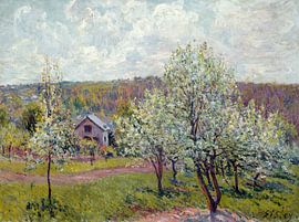Alfred Sisley,Spring near Paris, apple blossom