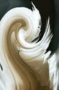 Pluimvee van didier de borle thumbnail