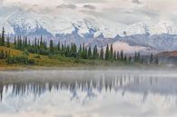 Denali berg in Alaska van Menno Schaefer thumbnail