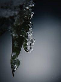 "Stille Tropfen" von Photoartbyantoinnet