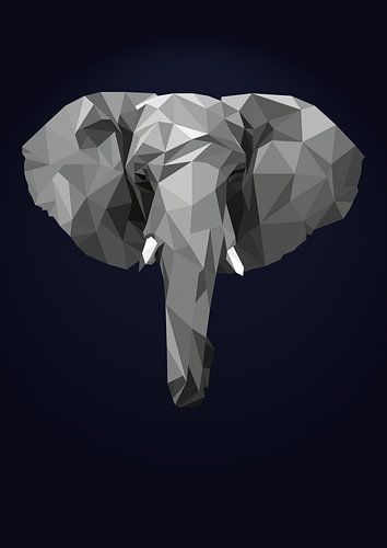 Eléphant, illustration