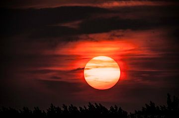 Sunset  van Brian Morgan
