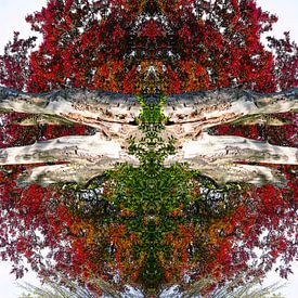 Rood gekleurde boom kunstwerk van Devin Meijer
