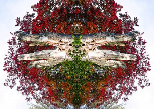 Rood gekleurde boom kunstwerk