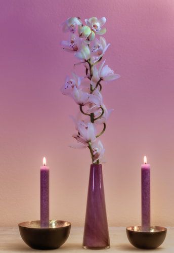 Nature morte avec une orchidée dans un vase et deux bougies