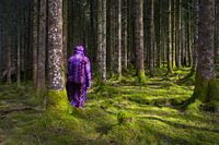 Der Wanderer #9