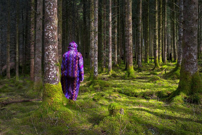 Der Wanderer #9 von Nienke Jorissen