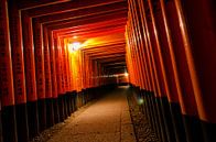 Torri gates - Fushimi Inari bij nacht - Japan van Michael Bollen thumbnail