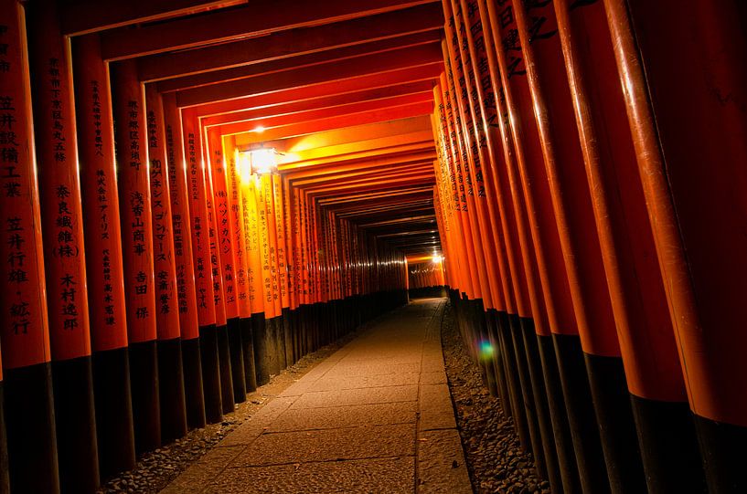 Torri gates - Fushimi Inari bij nacht - Japan van Michael Bollen