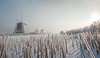 Kinderdijk in de winter