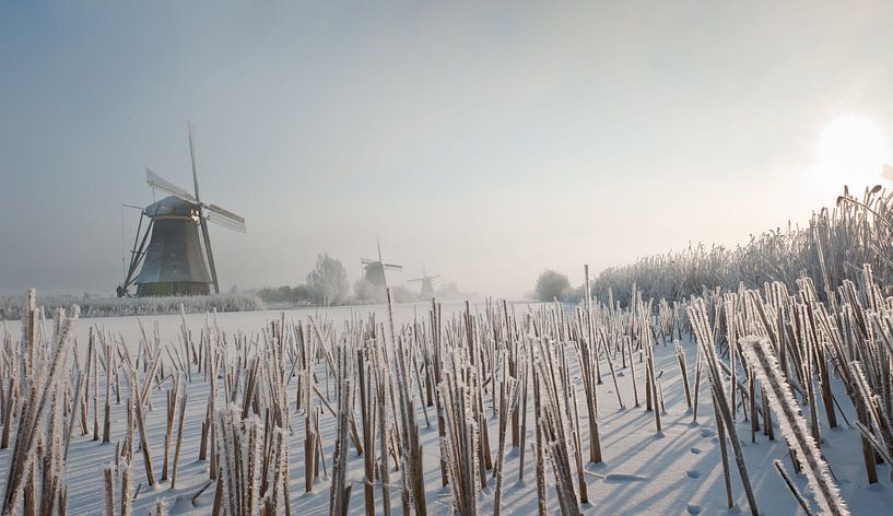 Kinderdijk in de winter by Bart Hardorff