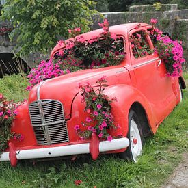 Auto als bloemenbak in Ierland van Yria Meijer