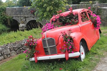 Auto als Blumenkasten in Irland