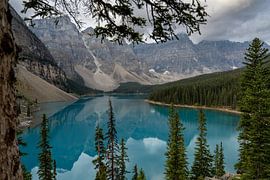 Moraine Lake by Ton de Koning