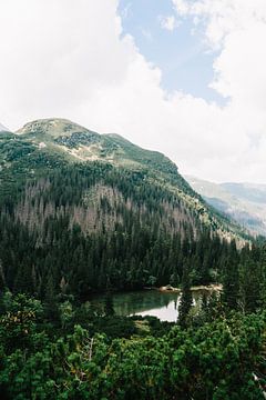 Tatra mountains Slovakia VI by Suzanne Spijkers