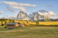 Die Seiser Alm in der Abendsonne