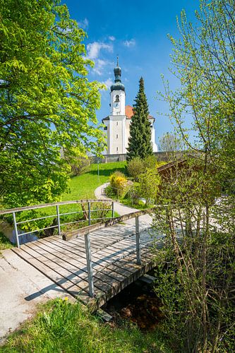 Frühling in Breitbrunn