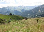 Berglandschap Franse Alpen , groen rustgevend van Sander van der Lem thumbnail
